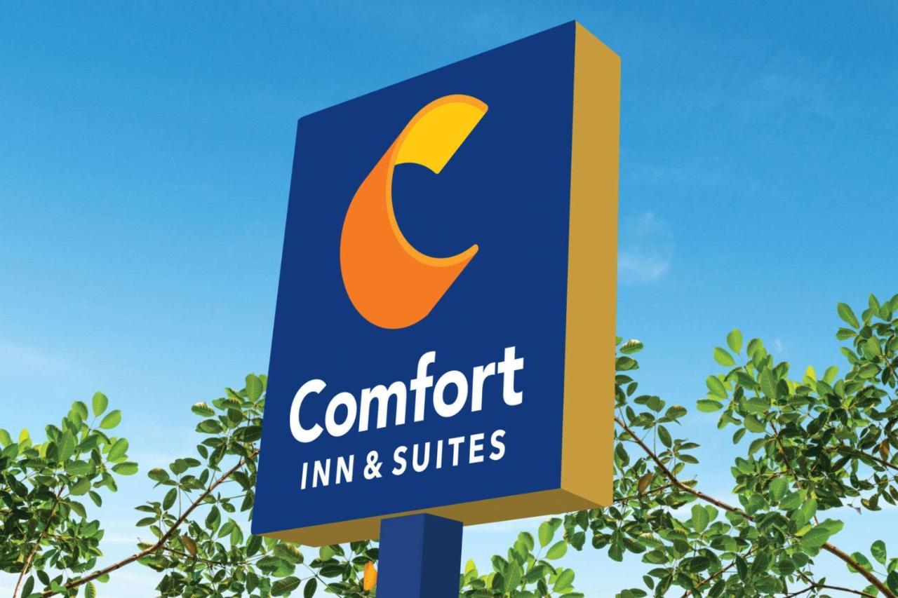 Comfort Inn & Suites Munising-Lakefront Exterior foto